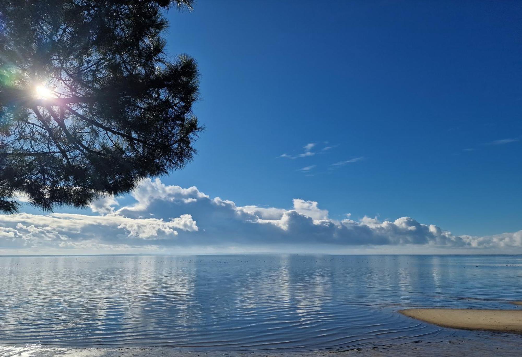 Villa Petit-Pere - A 400M De La Plage Taussat-les-Bains المظهر الخارجي الصورة